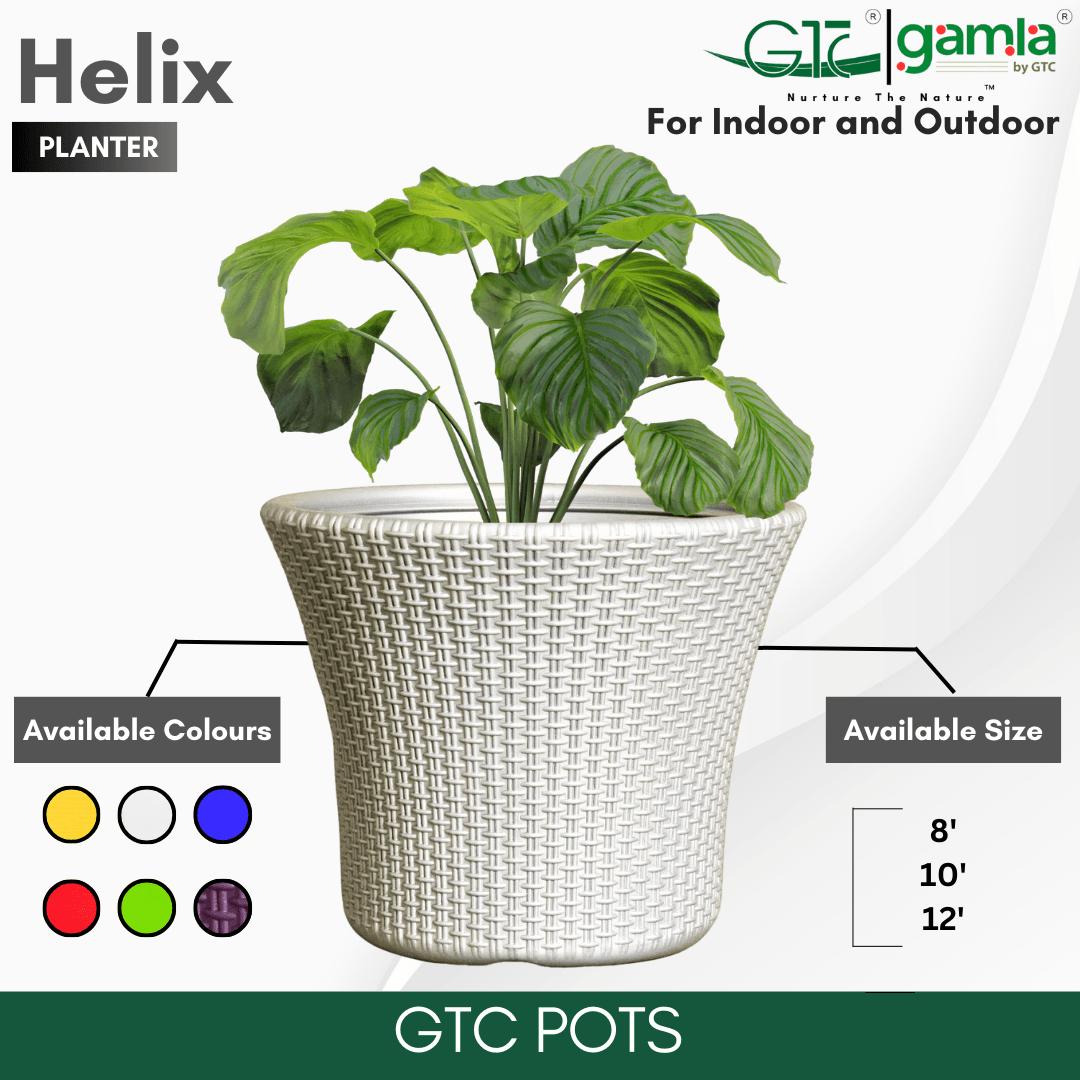 Helix Planter Suitable for Home, Gardens, Hotels and Resorts - GTC POTS