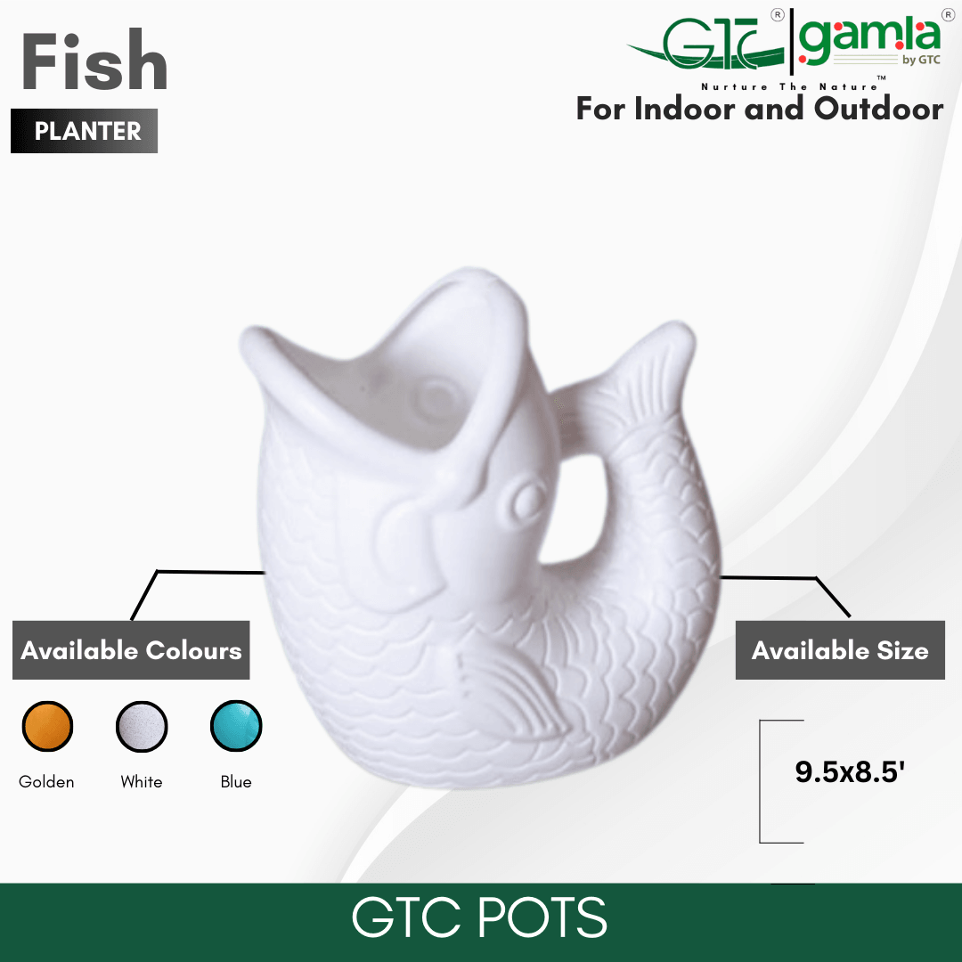 FISH PLANTER - GTC POTS
