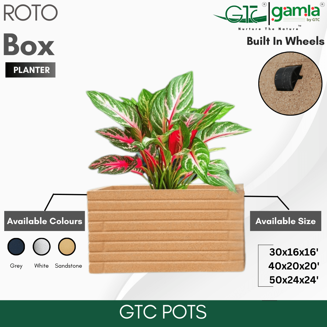 Box Wheel Planter Roto Moulding Planter Suitable for Home, Gardens, Hotels and Resorts - GTC POTS