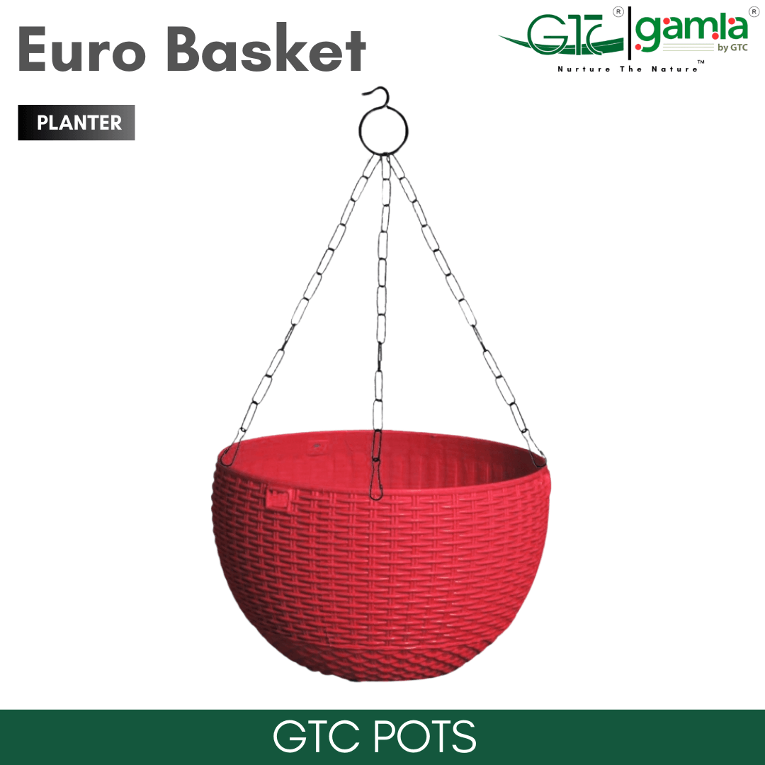 Euro Basket (Set Of 5) Suitable for Home, Gardens, Hotels and Resorts - GTC POTS