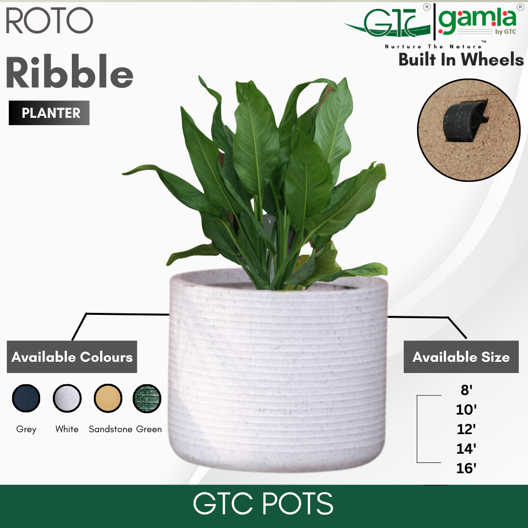 Ribble Wheel Planter Roto Moulding Planter Suitable for Home, Gardens, Hotels and Resorts - GTC POTS