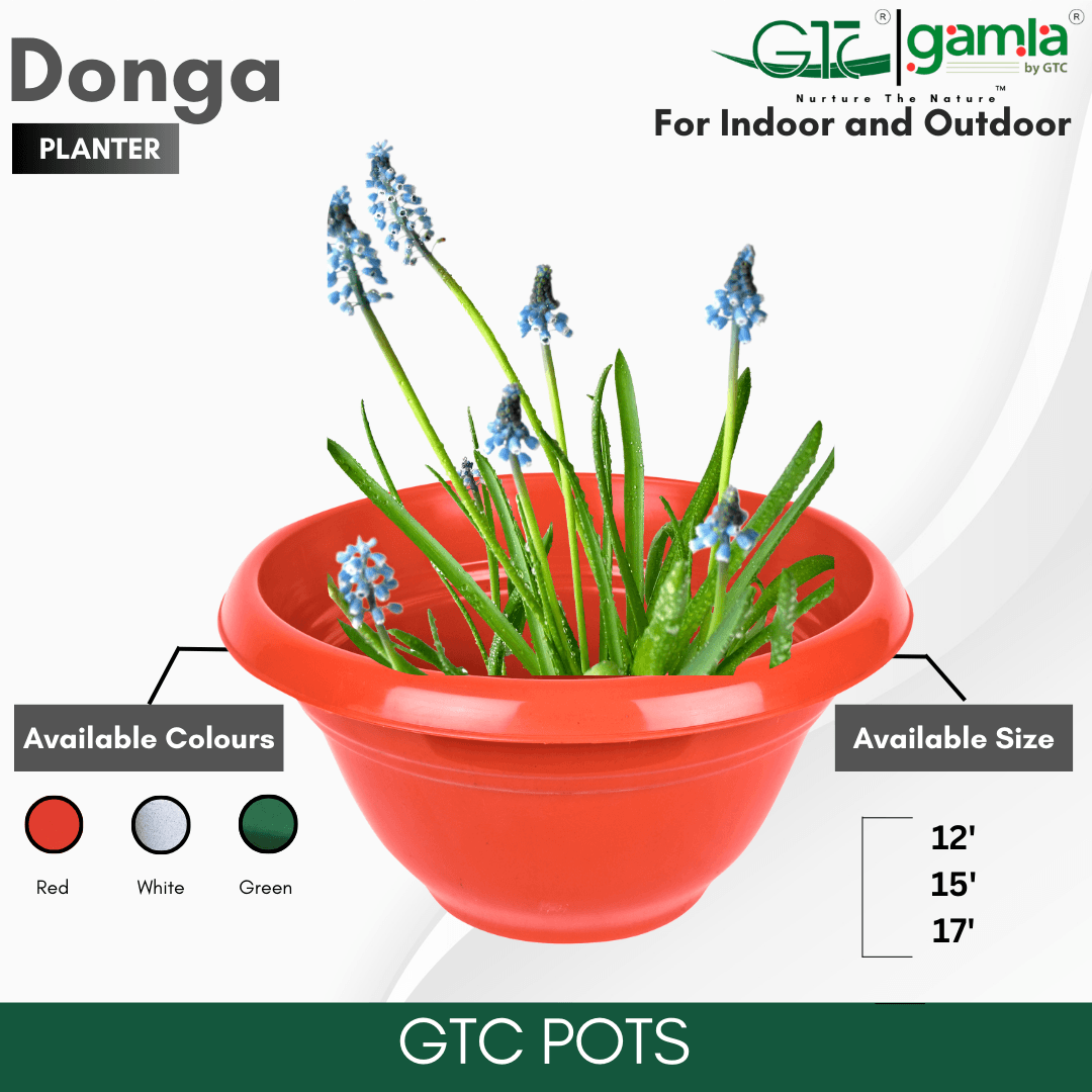 Donga Planter Suitable for Home, Gardens, Hotels and Resorts - GTC POTS