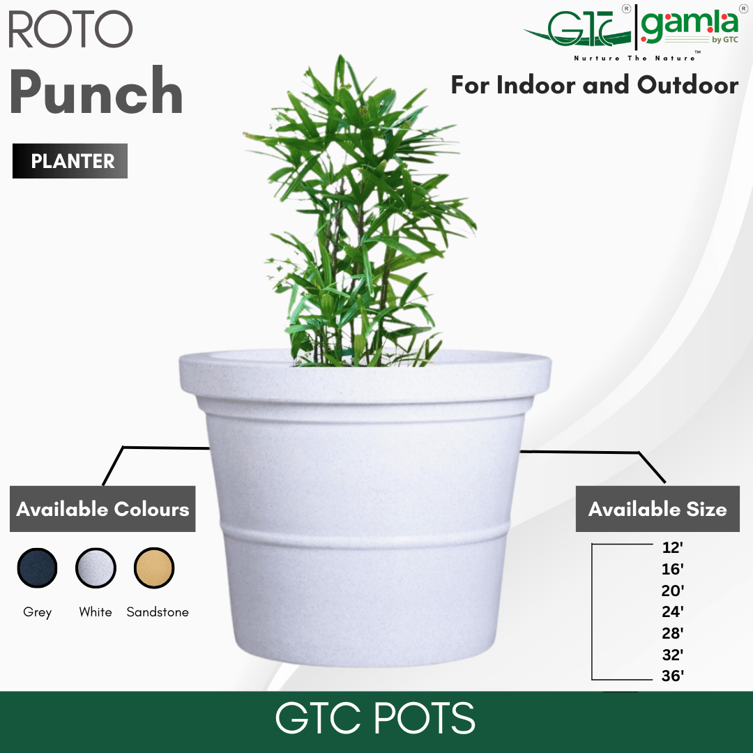 Punch Planter Roto Moulding Planter Suitable for Home, Gardens, Hotels and Resorts - GTC POTS