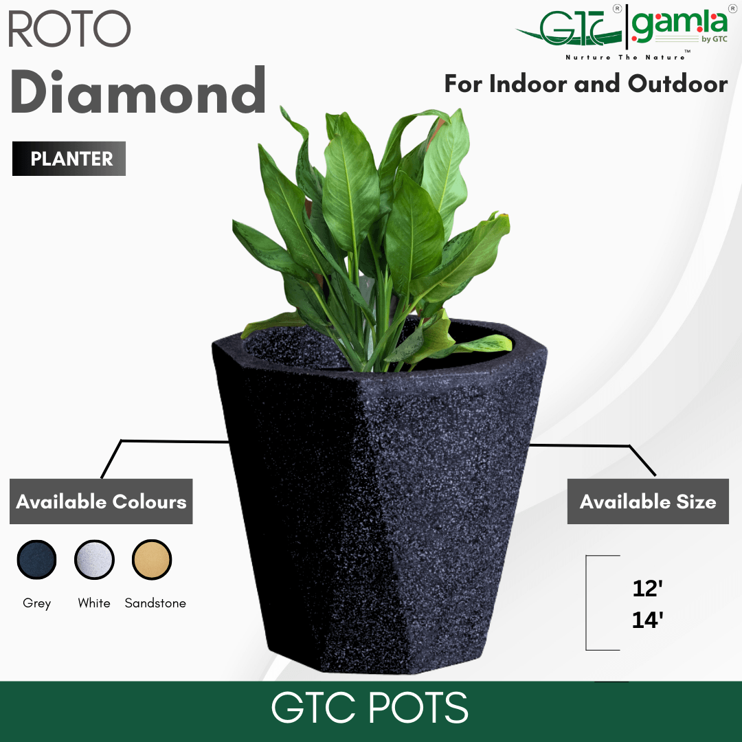 Diamond Planter Roto Moulding Suitable for Home, Gardens, Hotels and Resorts - GTC POTS
