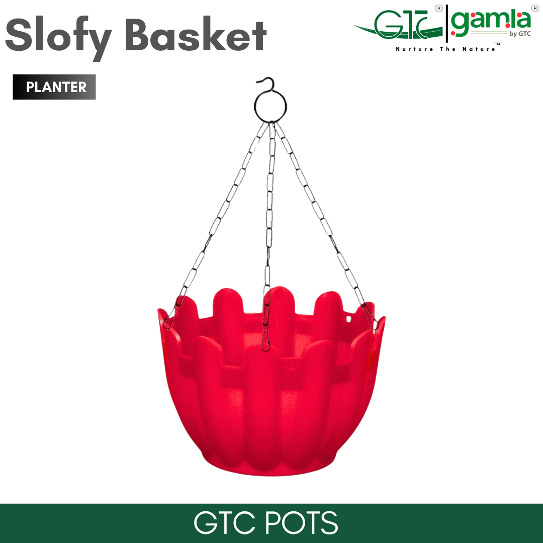 Slofy Basket (Set Of 5) Suitable for Home, Gardens, Hotels and Resorts - GTC POTS