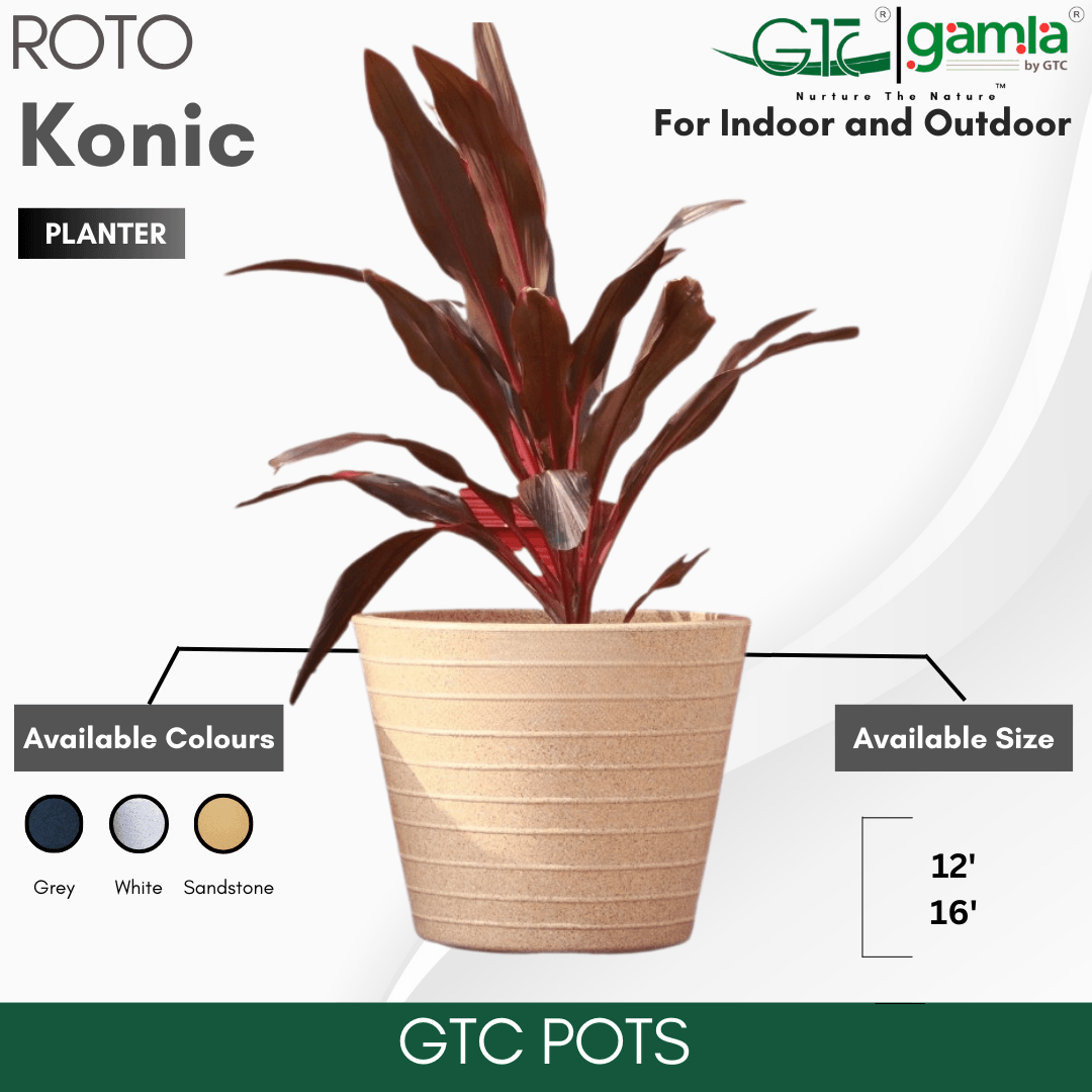 Konic Planter Roto Moulding Suitable for Home, Gardens, Hotels and Resorts - GTC POTS