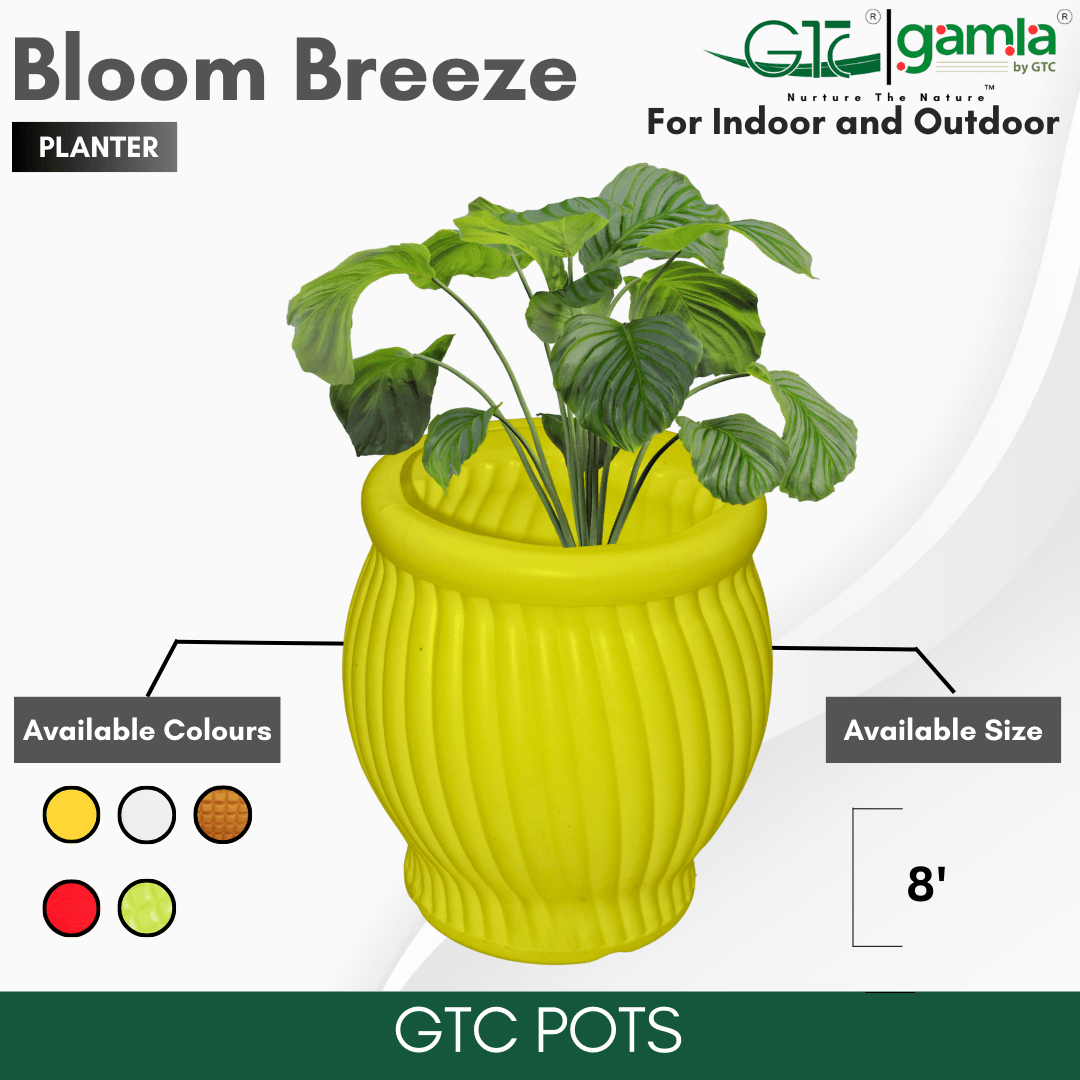 Bloom Breeze Planter Suitable for Home, Gardens, Hotels and Resorts - GTC POTS
