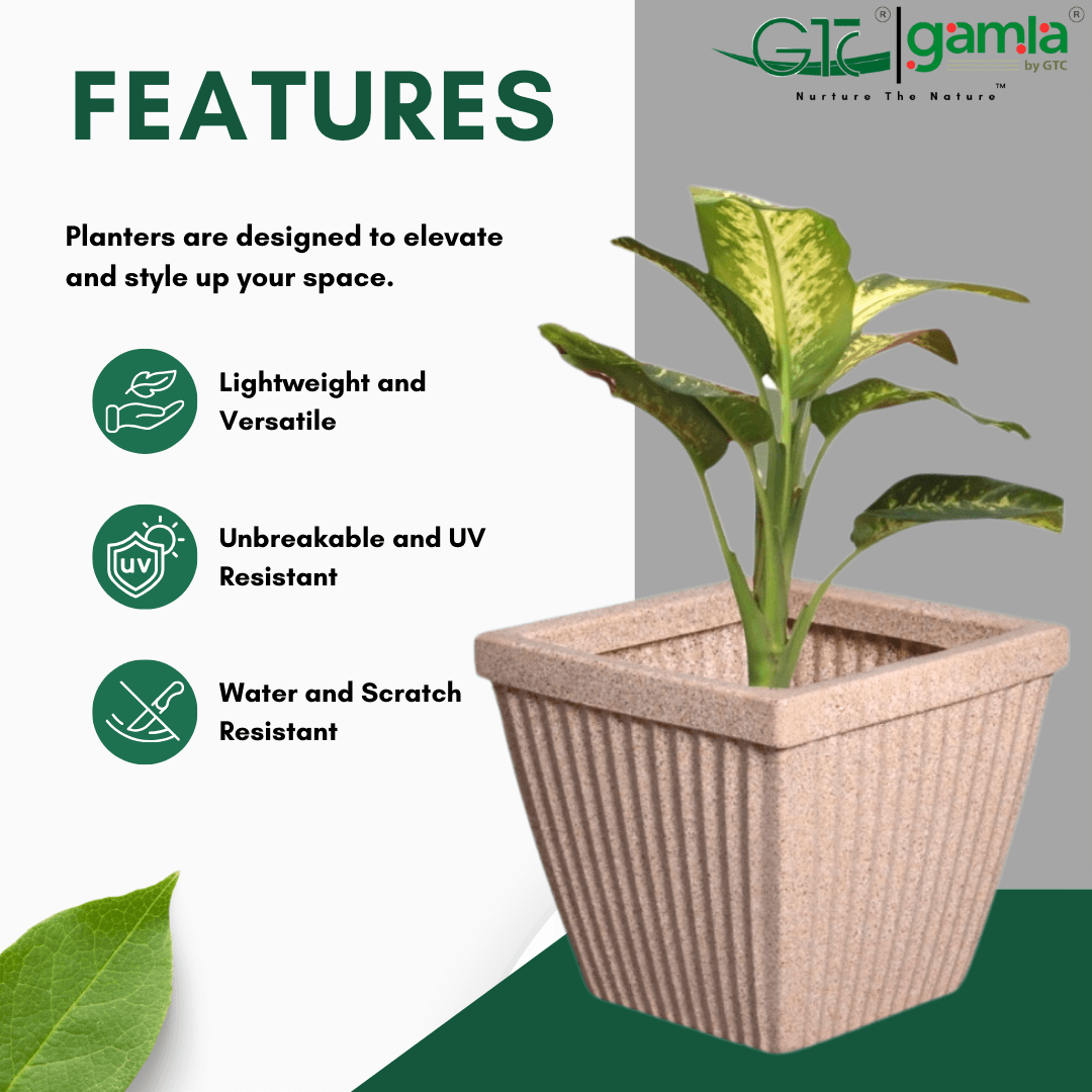 SPARK SQUARE PLANTER Roto Moulding Suitable for Home, Gardens, Hotels and Resorts - GTC POTS