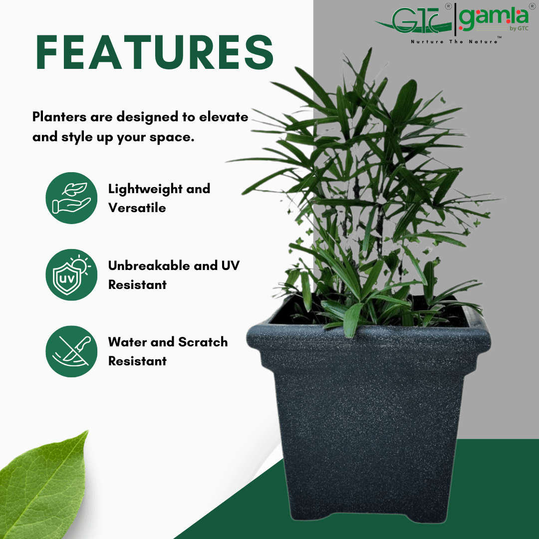 Dino Planter Roto Moulding Planter Suitable for Home, Gardens, Hotels and Resorts - GTC POTS