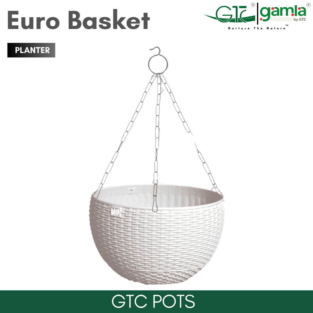 Euro Basket (Set Of 5) Suitable for Home, Gardens, Hotels and Resorts - GTC POTS
