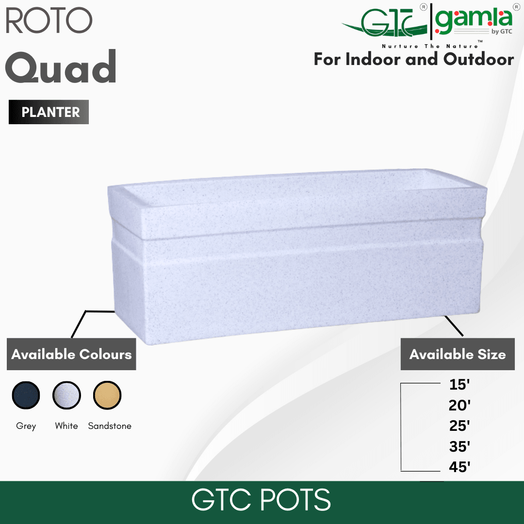 Quad Planter Roto Moulding Planter Suitable for Home, Gardens, Hotels and Resorts - GTC POTS