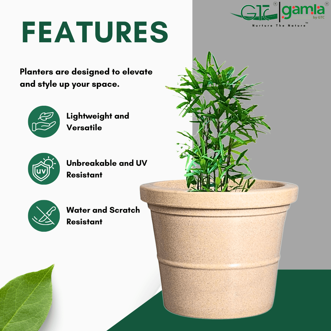 Punch Planter Roto Moulding Planter Suitable for Home, Gardens, Hotels and Resorts - GTC POTS
