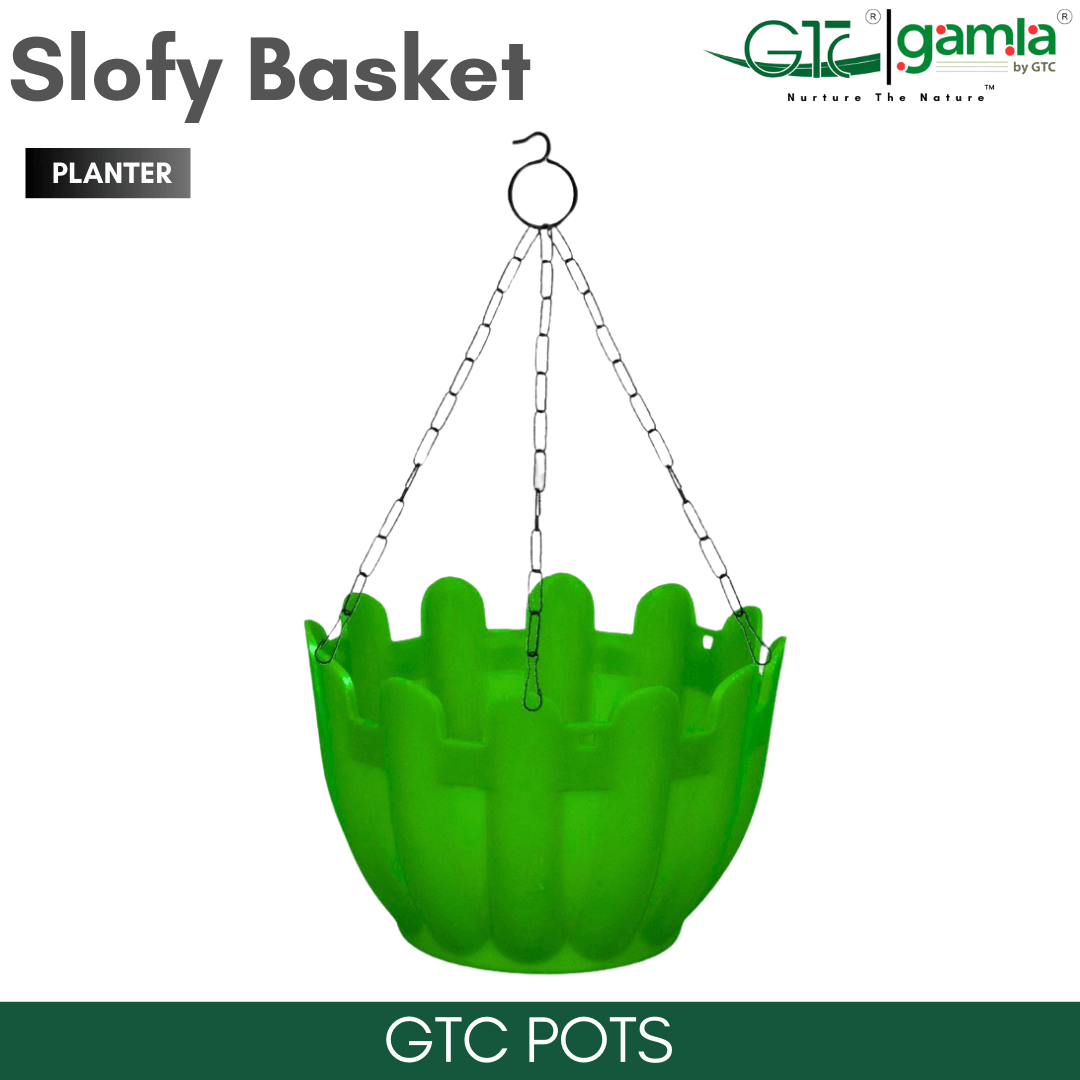 Slofy Basket (Set Of 5) Suitable for Home, Gardens, Hotels and Resorts - GTC POTS