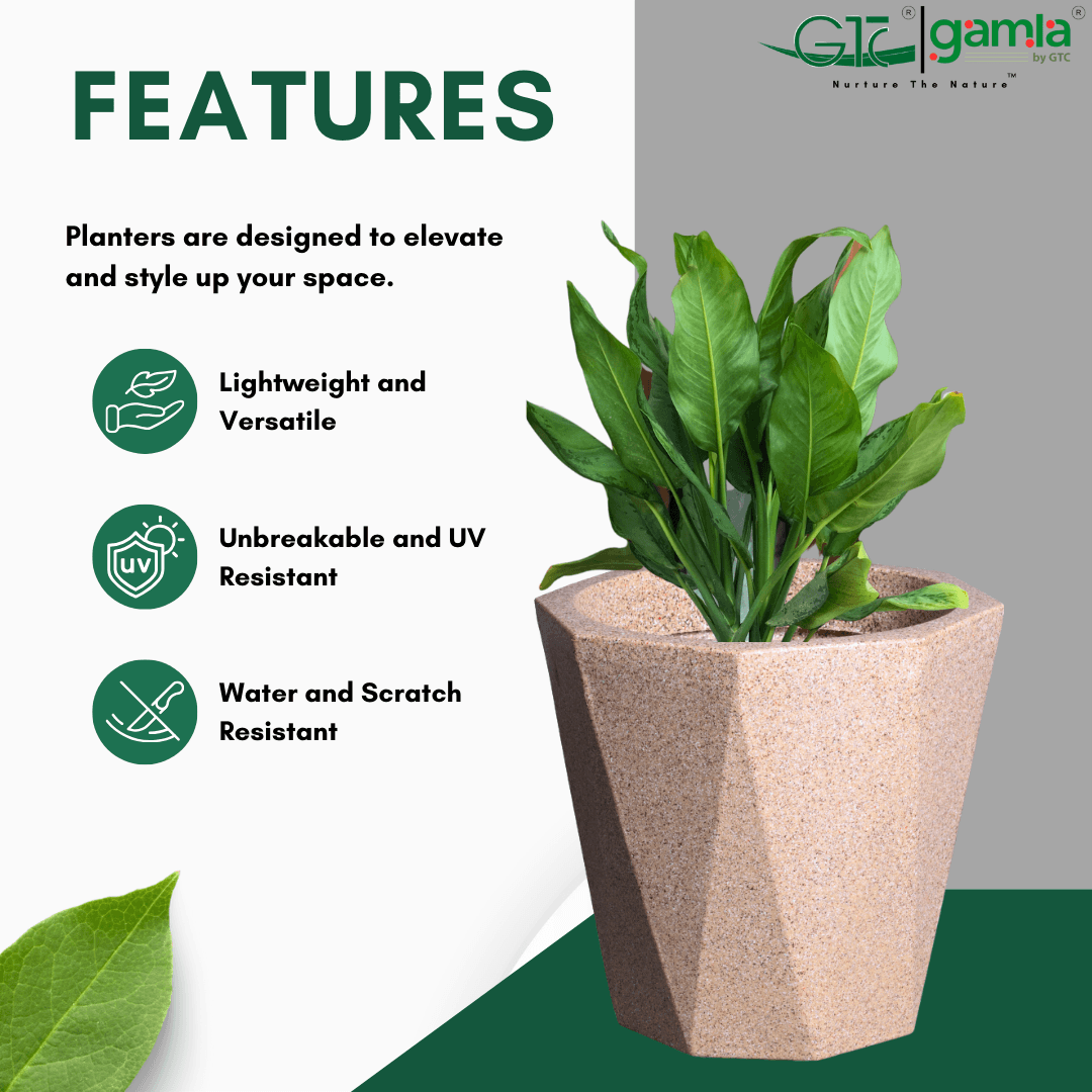 Diamond Planter Roto Moulding Suitable for Home, Gardens, Hotels and Resorts - GTC POTS