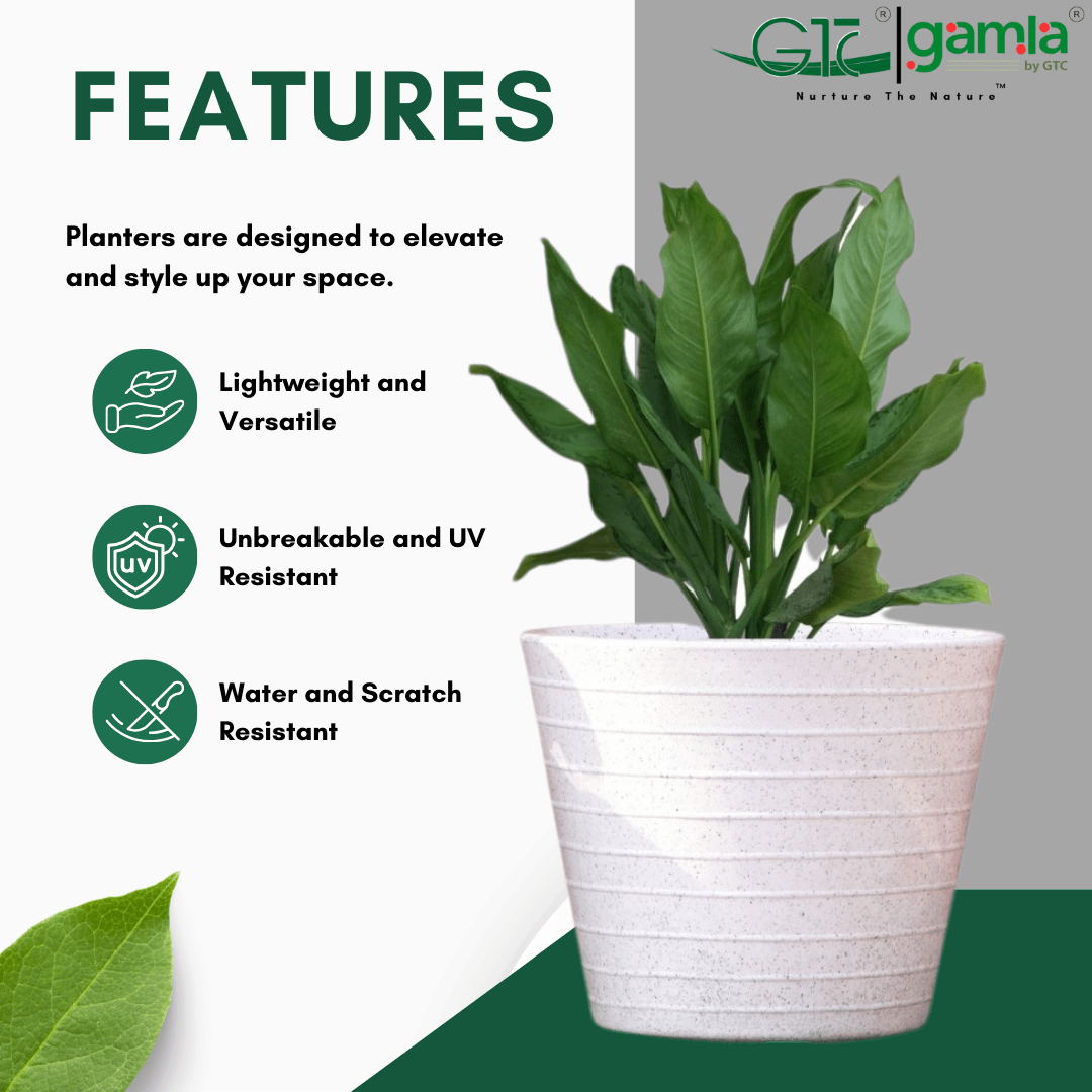 Konic Planter Roto Moulding Suitable for Home, Gardens, Hotels and Resorts - GTC POTS