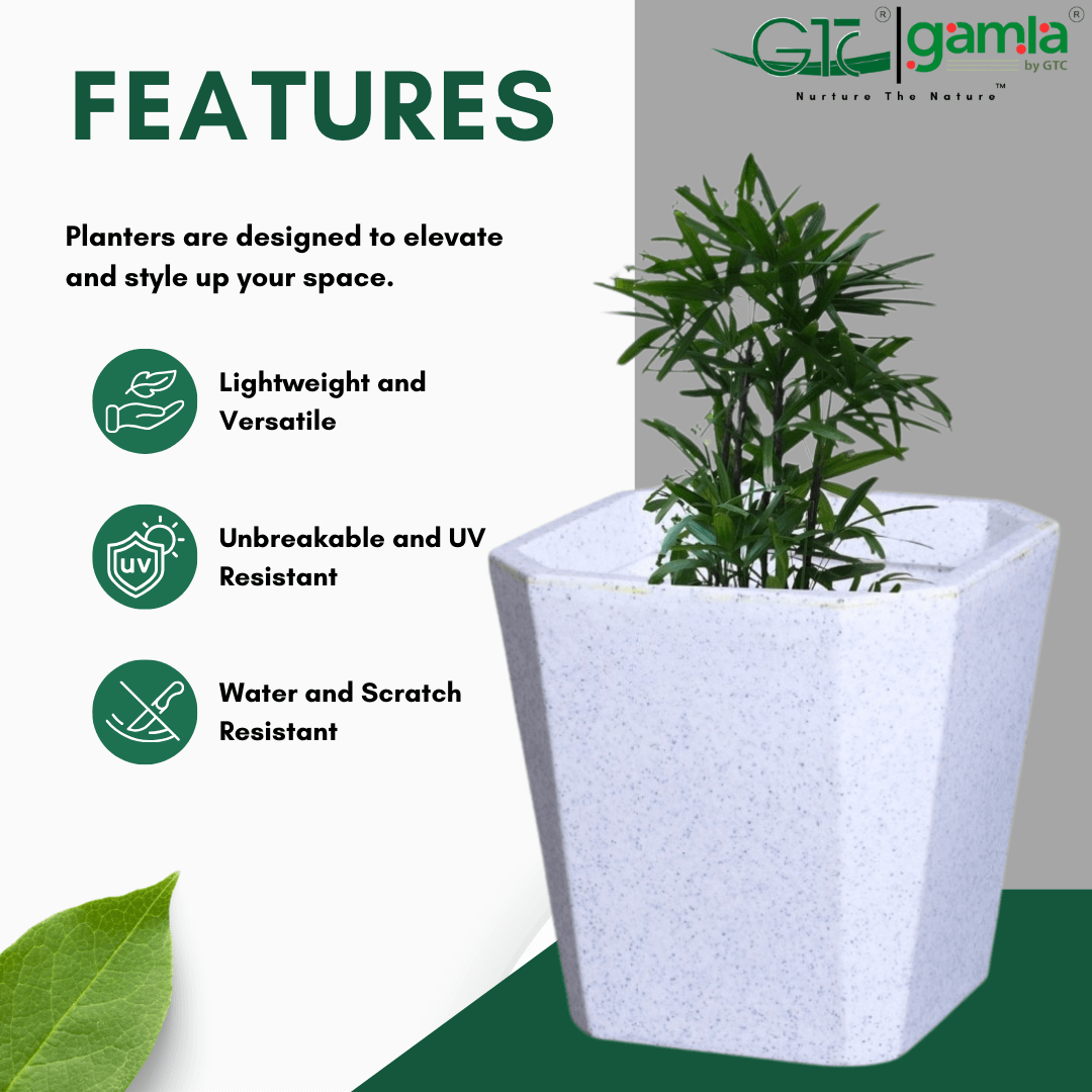 Octa Planter Roto Moulding Suitable for Home, Gardens, Hotels and Resorts - GTC POTS