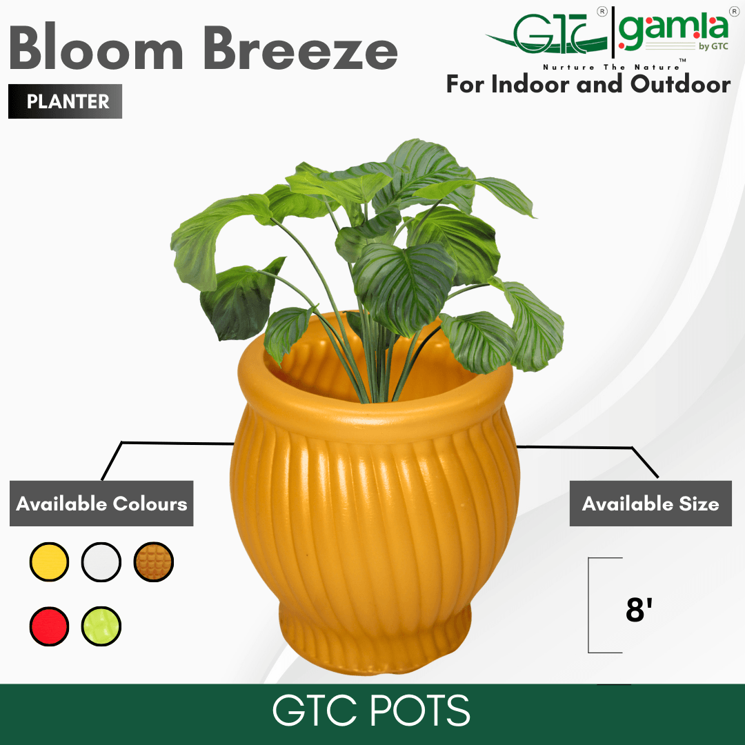 Bloom Breeze Planter Suitable for Home, Gardens, Hotels and Resorts - GTC POTS