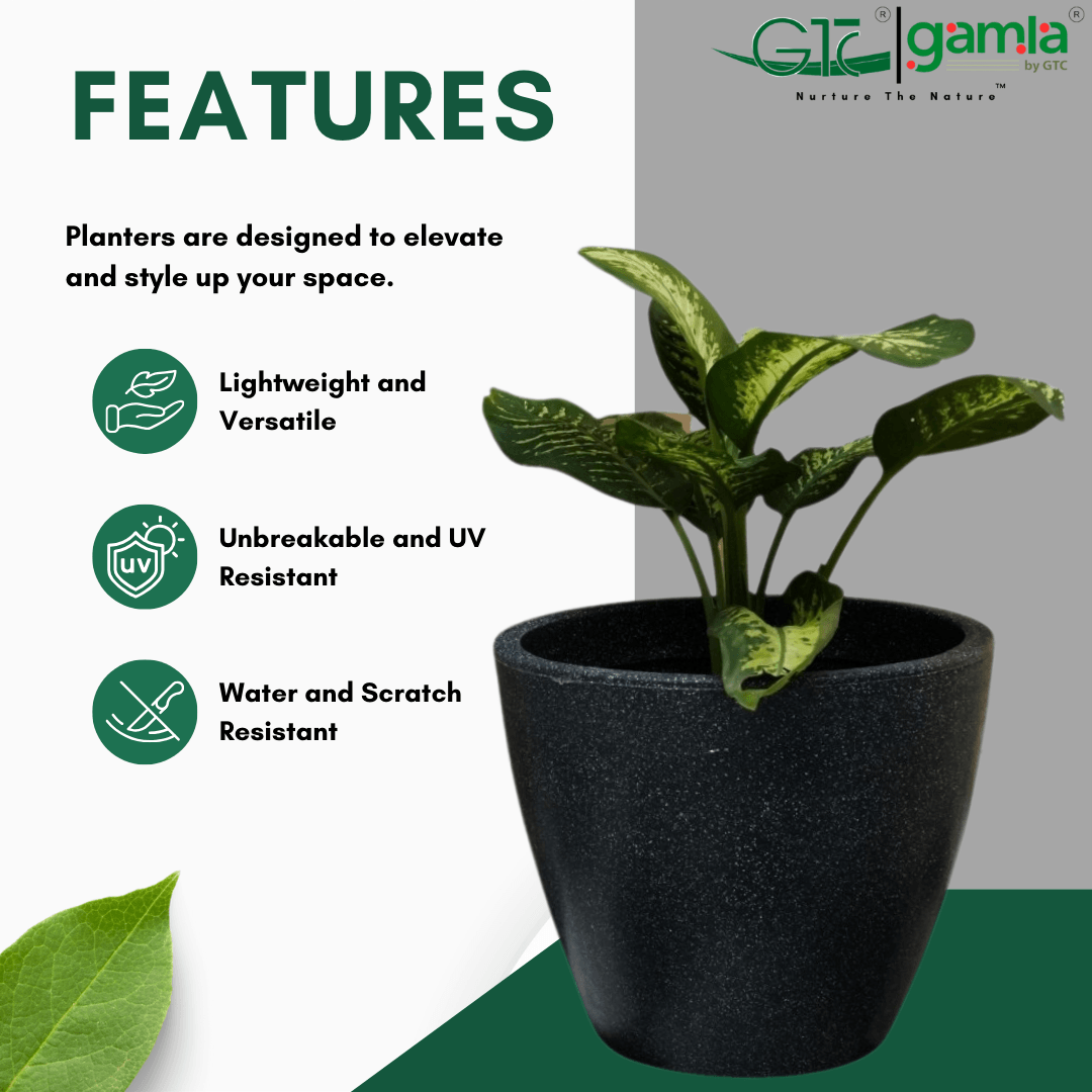 Globe Planter Roto Moulding Planter Suitable for Home, Gardens, Hotels and Resorts - GTC POTS