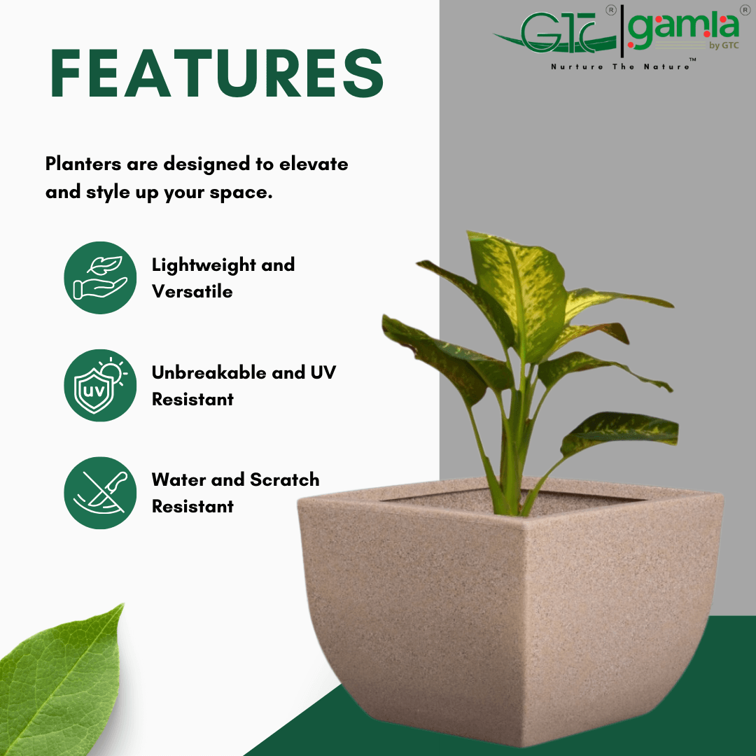 Jaguar Planter Roto Moulding Planter Suitable for Home, Gardens, Hotels and Resorts - GTC POTS