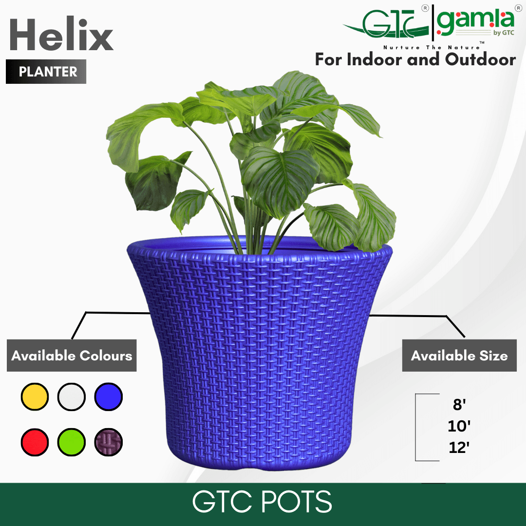Helix Planter Suitable for Home, Gardens, Hotels and Resorts - GTC POTS