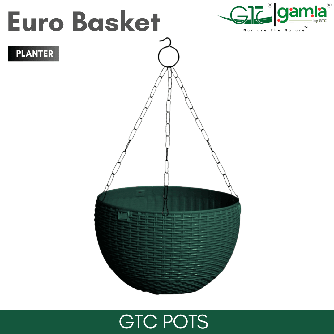 Euro Basket (Set Of 5) Suitable for Home, Gardens, Hotels and Resorts - GTC POTS