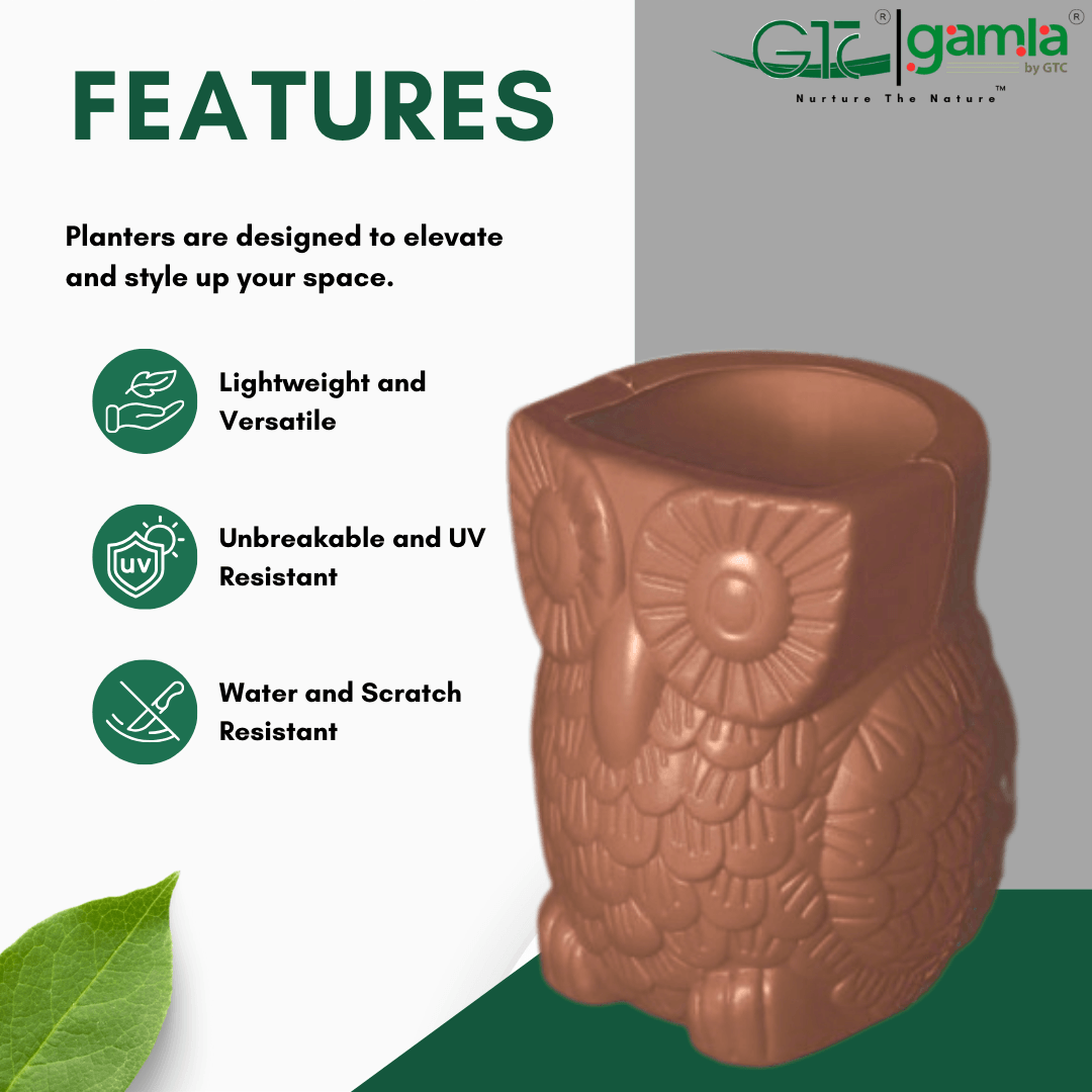 OWL PLANTER - GTC POTS