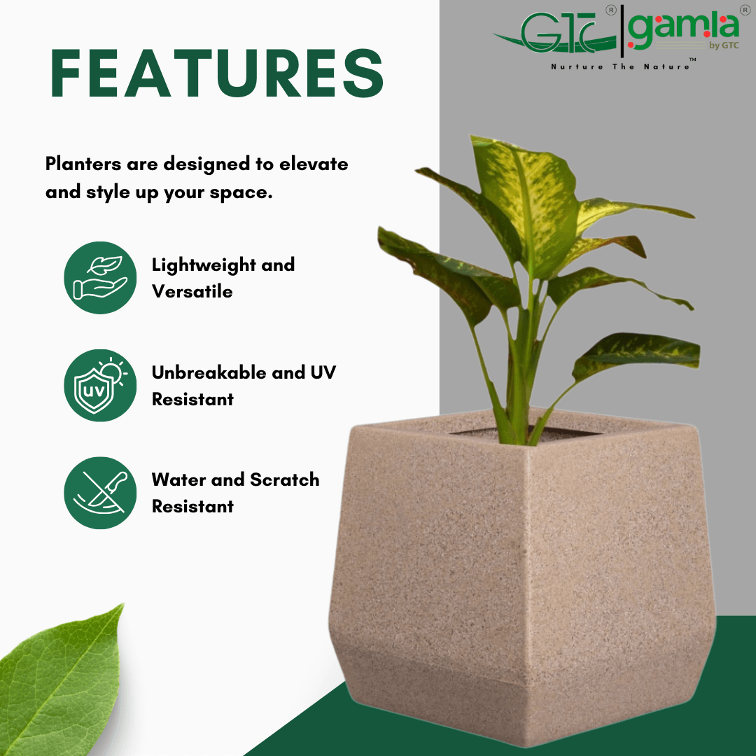 Rhombus Planter Roto Moulding Planter Suitable for Home, Gardens, Hotels and Resorts - GTC POTS