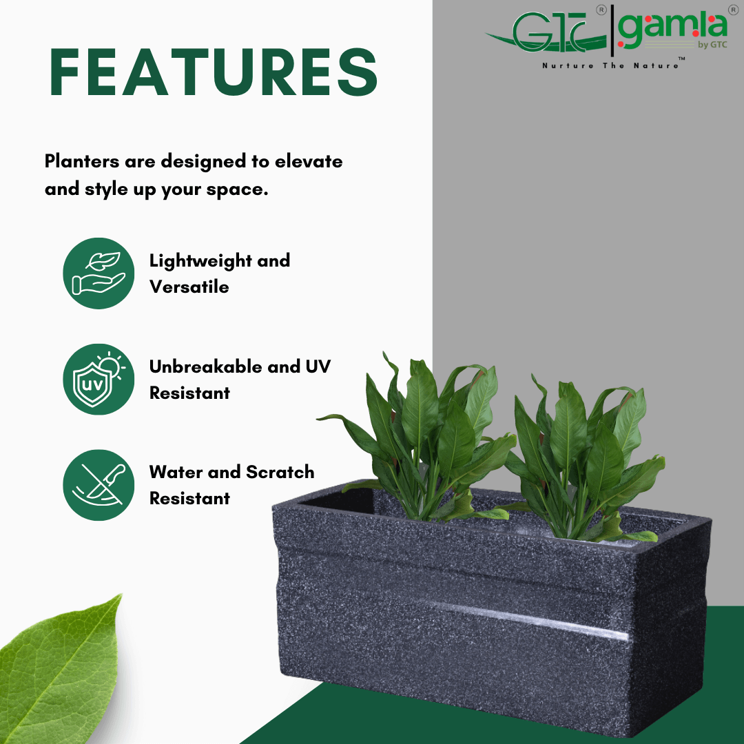 Quad Planter Roto Moulding Planter Suitable for Home, Gardens, Hotels and Resorts - GTC POTS
