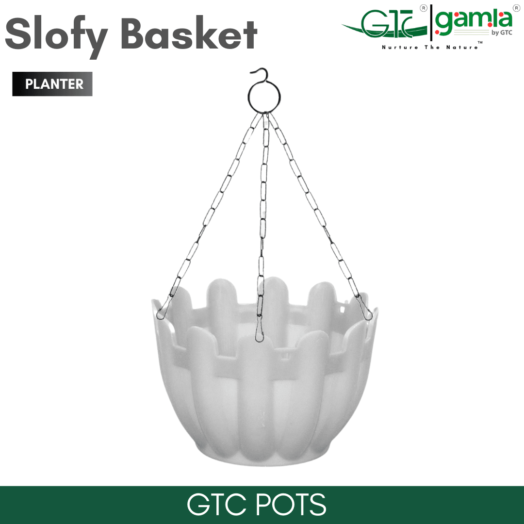 Slofy Basket (Set Of 5) Suitable for Home, Gardens, Hotels and Resorts - GTC POTS
