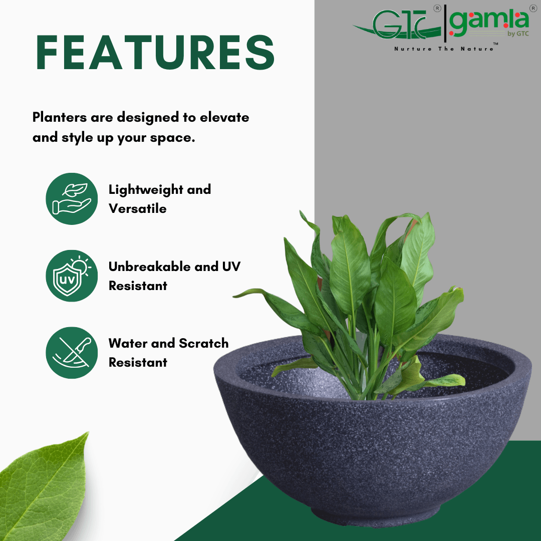 Sphere Planter Roto Moulding Planter Suitable for Home, Gardens, Hotels and Resorts - GTC POTS