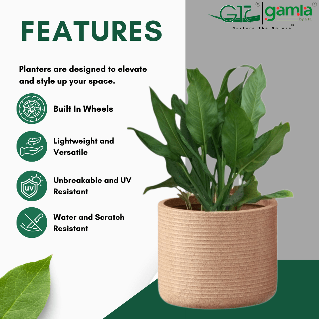 Ribble Wheel Planter Roto Moulding Planter Suitable for Home, Gardens, Hotels and Resorts - GTC POTS