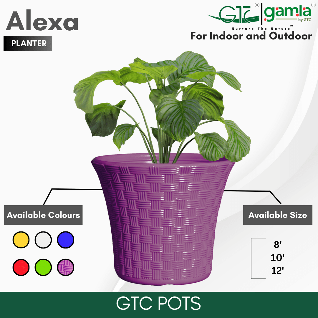 Alexa Planter Suitable for Home, Gardens, Hotels and Resorts - GTC POTS
