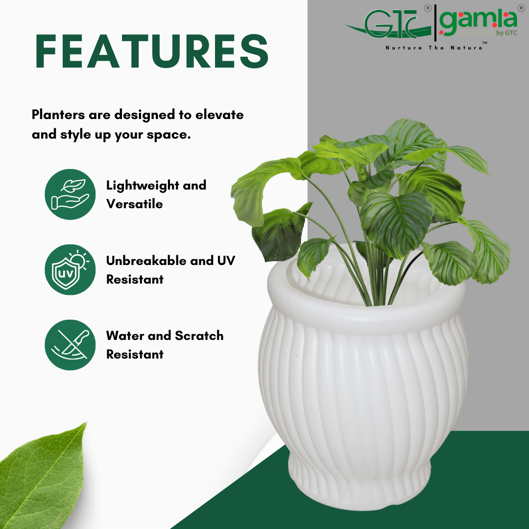 Bloom Breeze Planter Suitable for Home, Gardens, Hotels and Resorts - GTC POTS