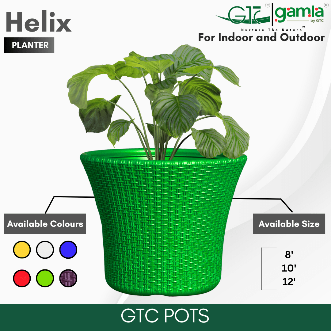 Helix Planter Suitable for Home, Gardens, Hotels and Resorts - GTC POTS
