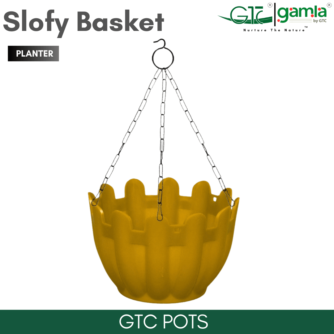 Slofy Basket (Set Of 5) Suitable for Home, Gardens, Hotels and Resorts - GTC POTS