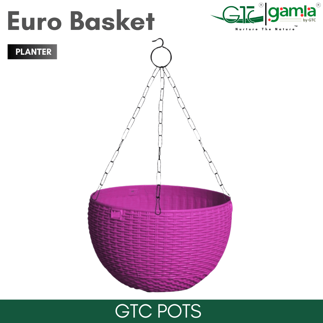 Euro Basket (Set Of 5) Suitable for Home, Gardens, Hotels and Resorts - GTC POTS