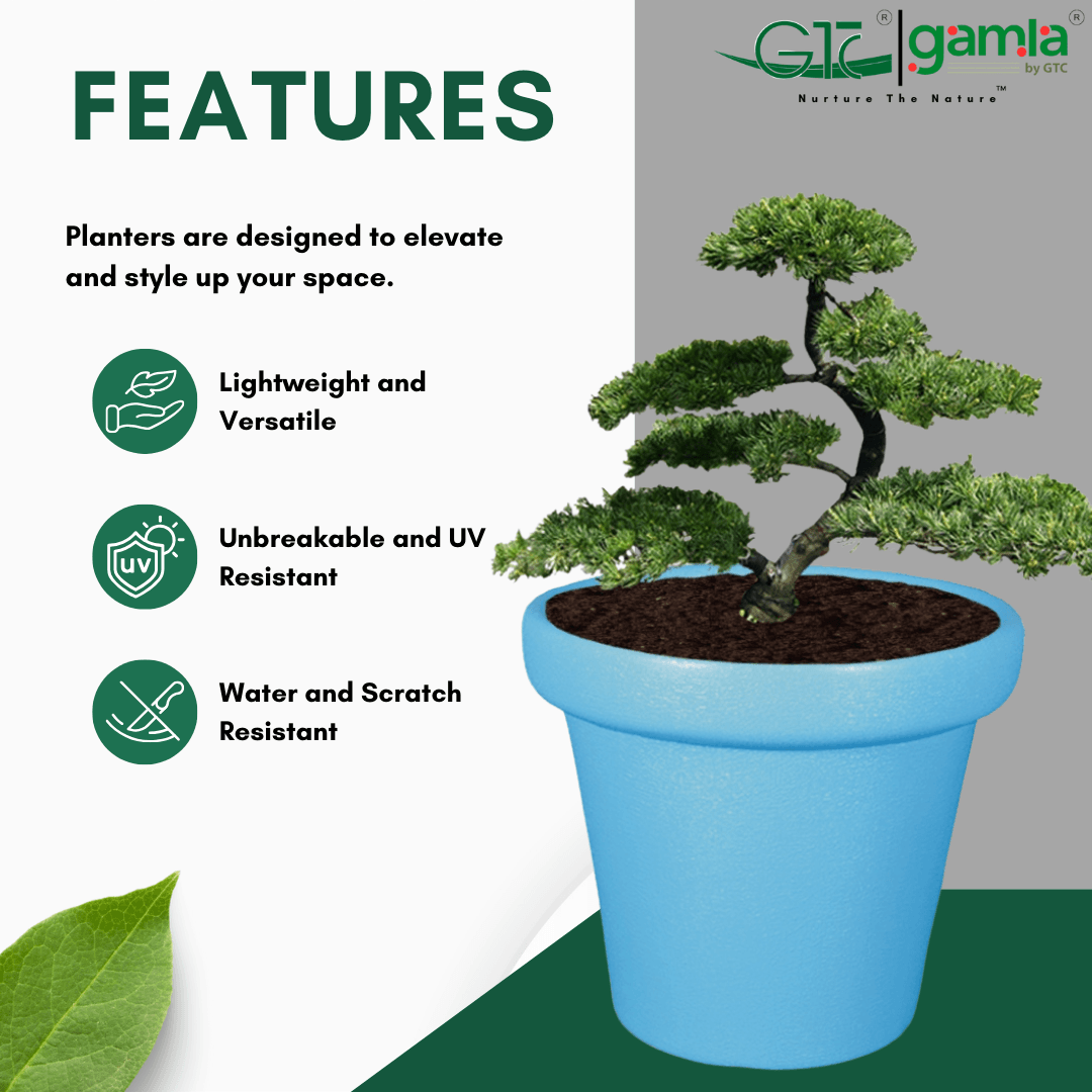 Crown Planter Suitable for Home, Gardens, Hotels and Resorts - GTC POTS