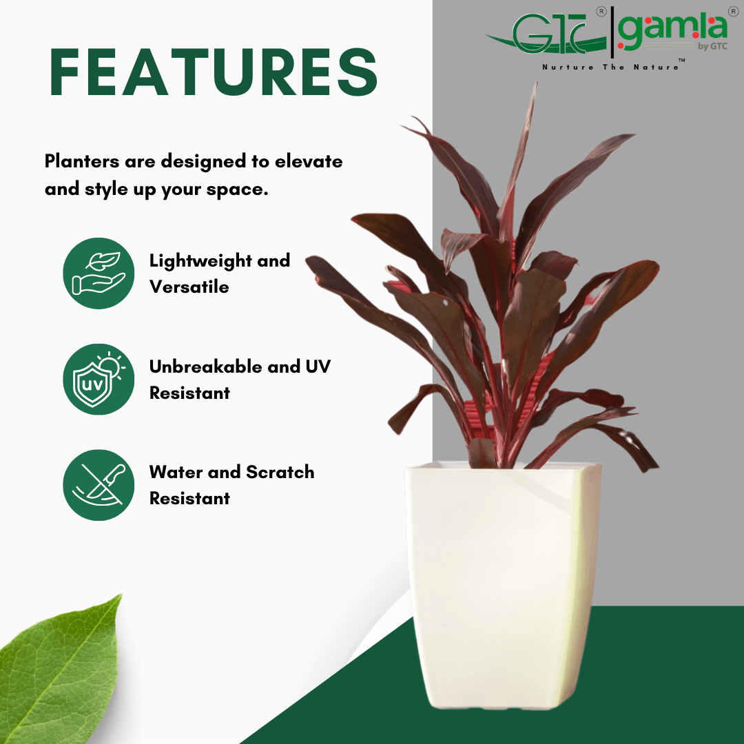 Valzee Planter Suitable for Home, Gardens, Hotels and Resorts - GTC POTS