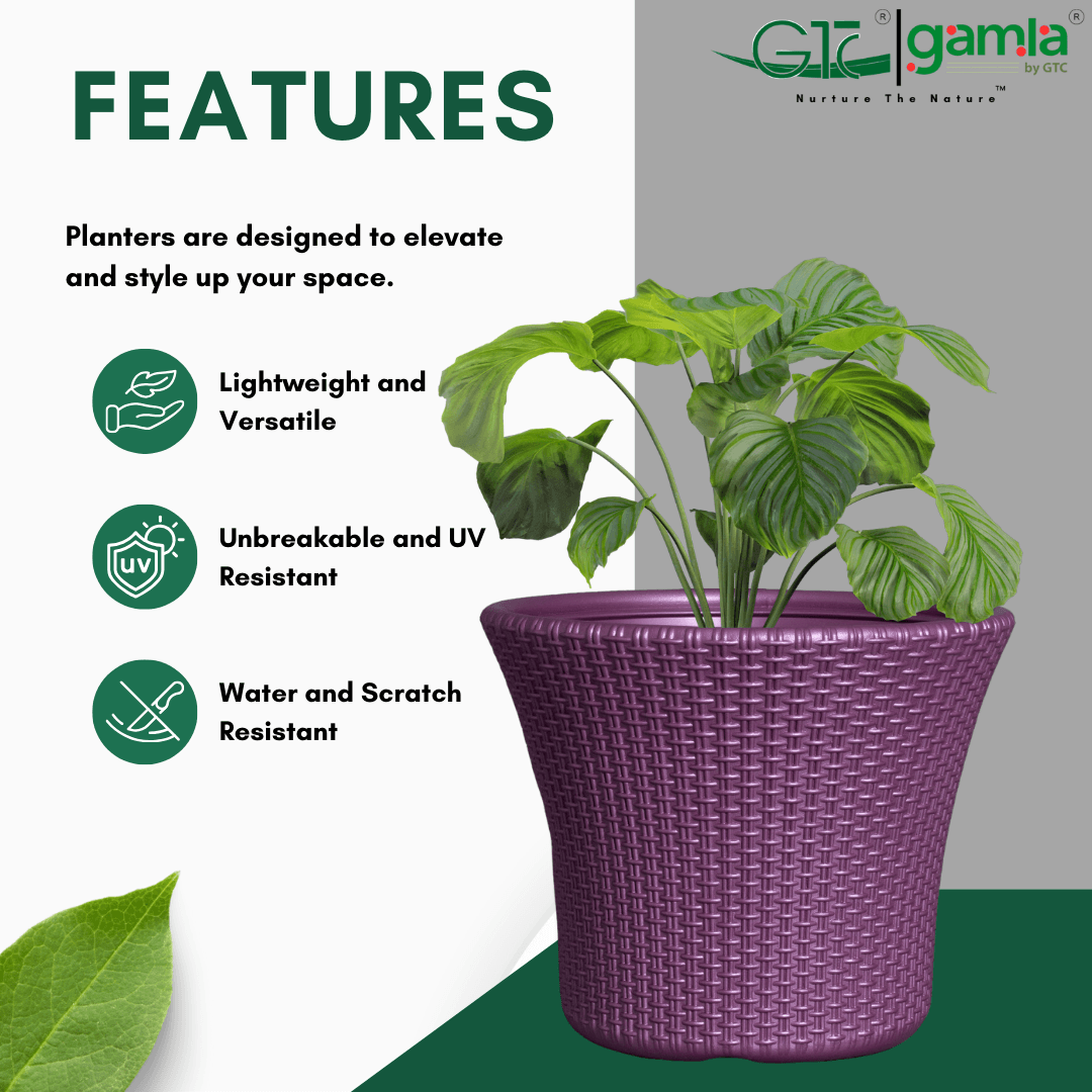 Helix Planter Suitable for Home, Gardens, Hotels and Resorts - GTC POTS