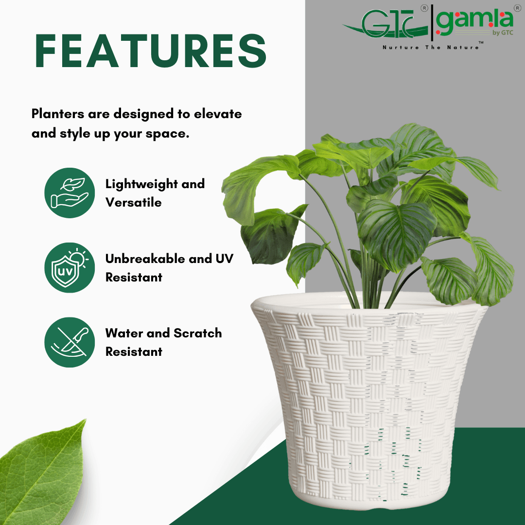 Alexa Planter Suitable for Home, Gardens, Hotels and Resorts - GTC POTS
