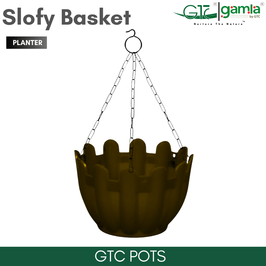 Slofy Basket (Set Of 5) Suitable for Home, Gardens, Hotels and Resorts - GTC POTS