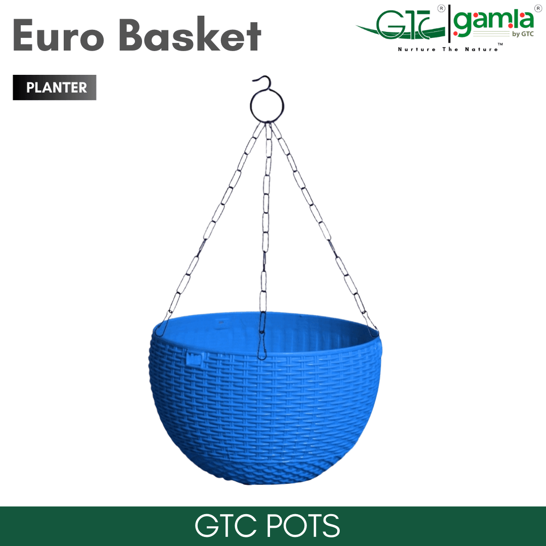 Euro Basket (Set Of 5) Suitable for Home, Gardens, Hotels and Resorts - GTC POTS