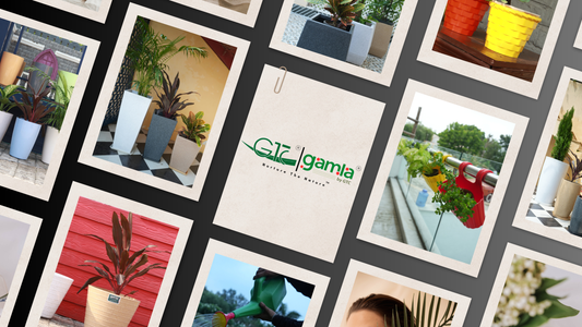 The Ultimate Planter Guide-GTC POTS