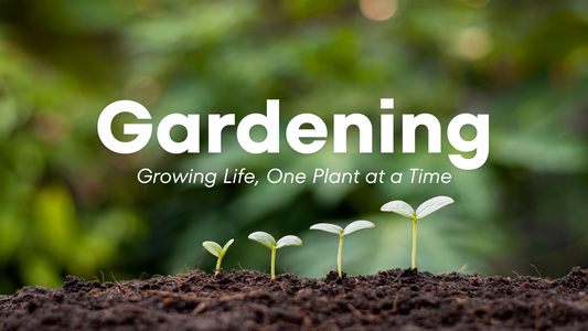Sustainability in Gardening: GTC POTS’
