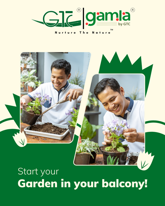 How to Start Your Balcony Garden with GTC POTS