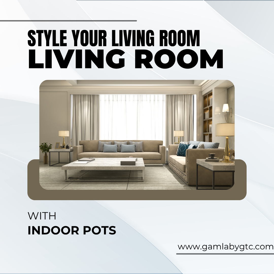 How to Style Your Living Room with Indoor Pots