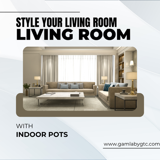 How to Style Your Living Room with Indoor Pots