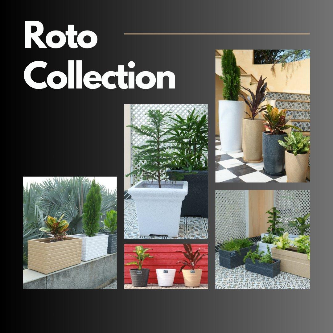 ROTO EDITION - GTC POTS