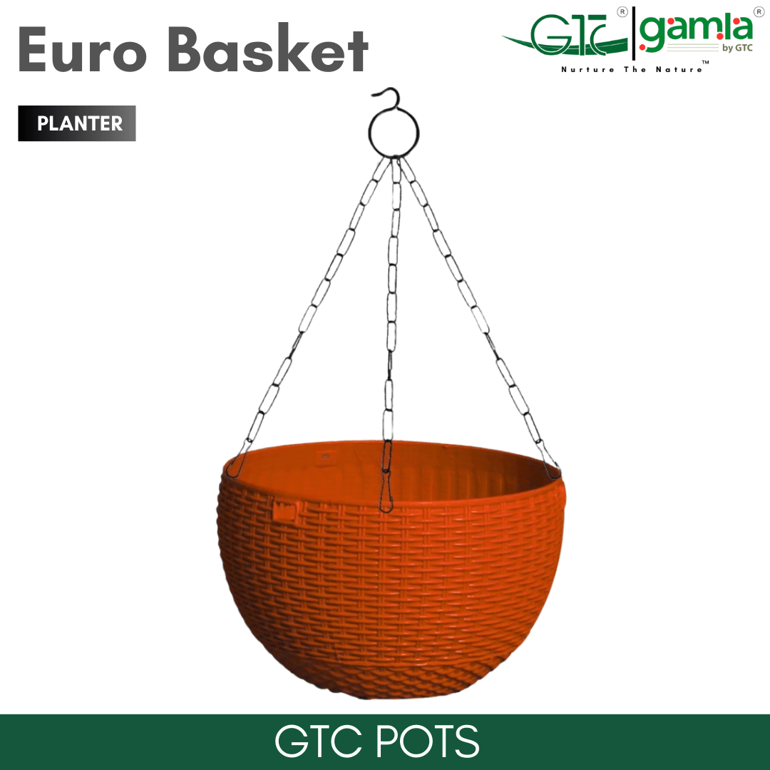 Euro Basket (Set Of 5) Suitable for Home, Gardens, Hotels and Resorts - GTC POTS