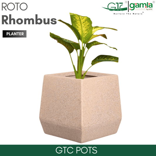 Rhombus Planter Roto Moulding Planter Suitable for Home, Gardens, Hotels and Resorts - GTC POTS
